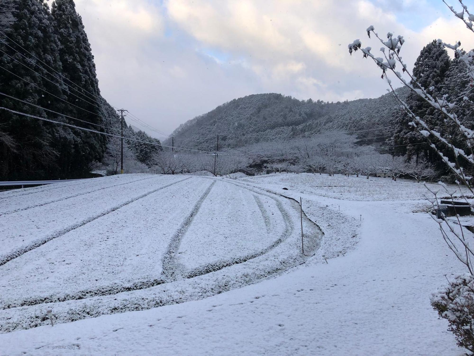 Satoyama Hotel Kanenone Tamba Maibara Εξωτερικό φωτογραφία