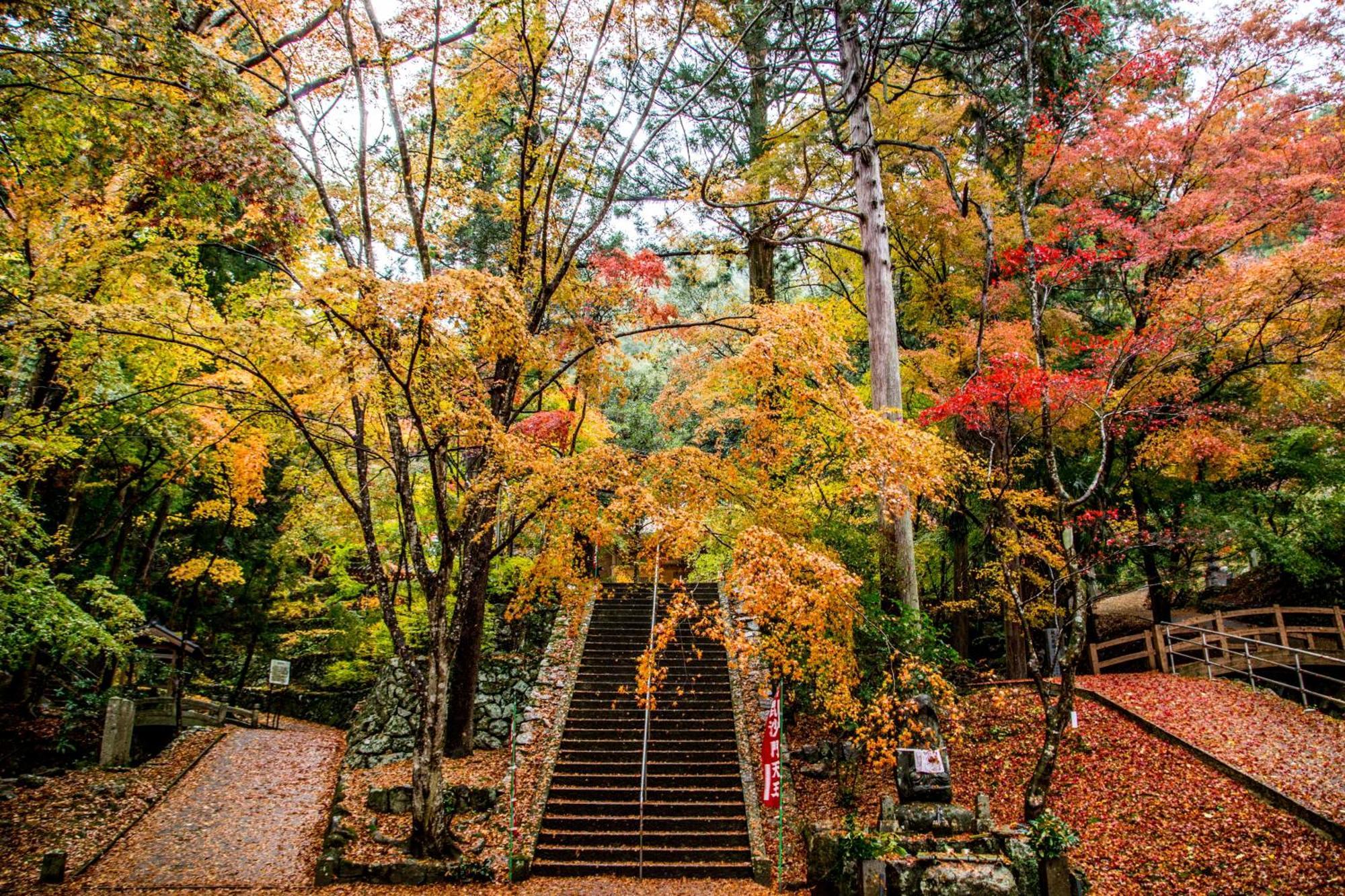 Satoyama Hotel Kanenone Tamba Maibara Εξωτερικό φωτογραφία