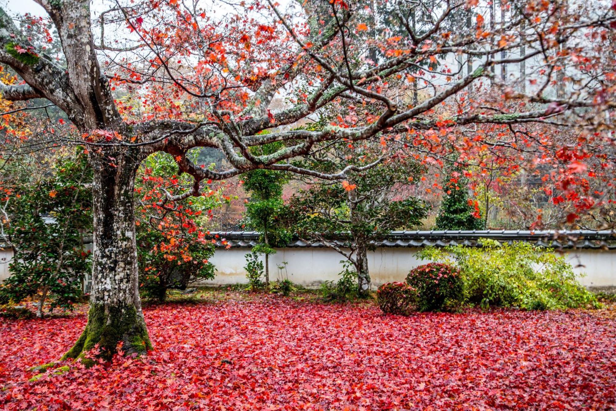 Satoyama Hotel Kanenone Tamba Maibara Εξωτερικό φωτογραφία